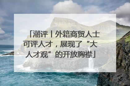 潮评丨外籍商贸人士可评人才，展现了“大人才观”的开放胸襟
